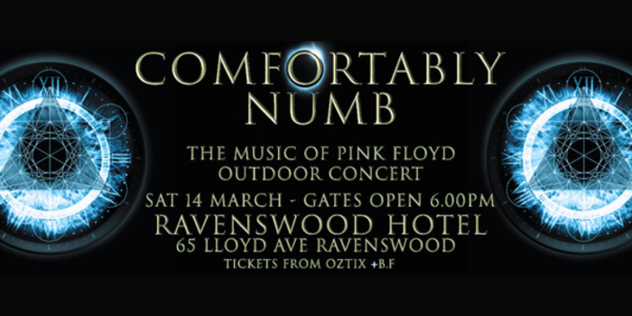 COMFORTABLY NUMB  The Music of Pink Floyd