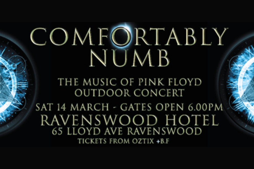 COMFORTABLY NUMB The Music of Pink Floyd