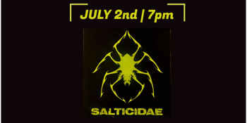 SALTICIDAE