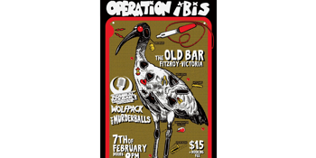 OPERATION IBIS