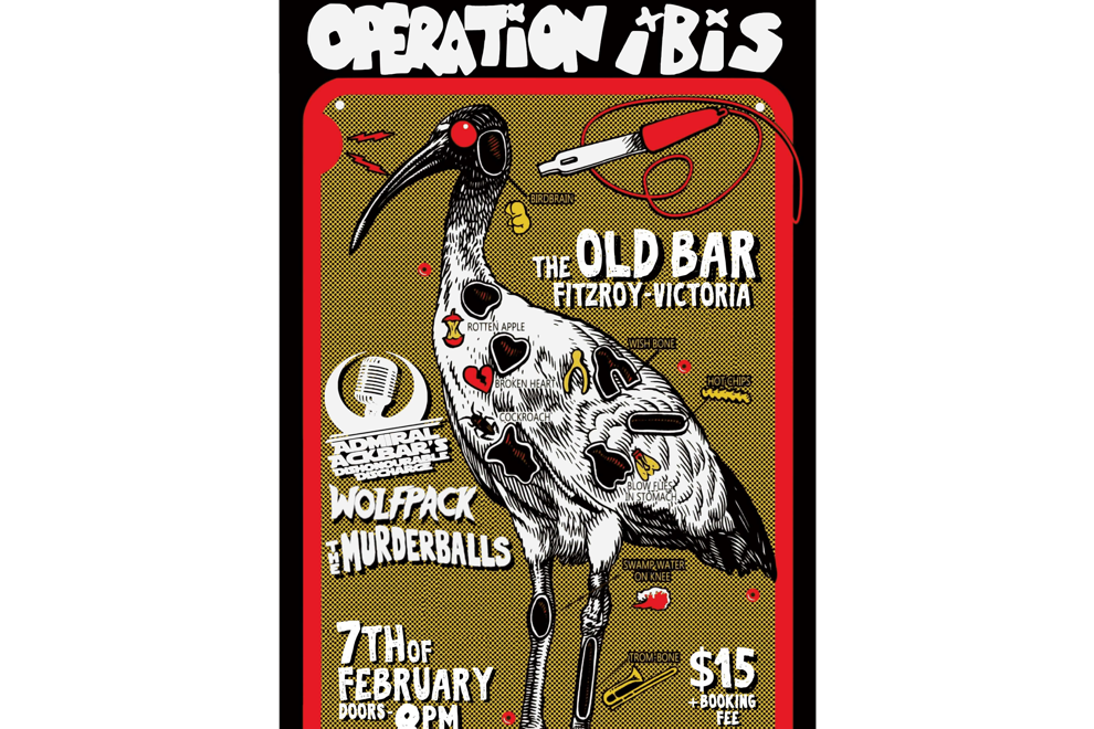 OPERATION IBIS