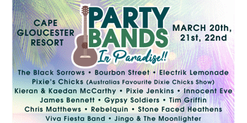 PARTY BANDS IN PARADISE
