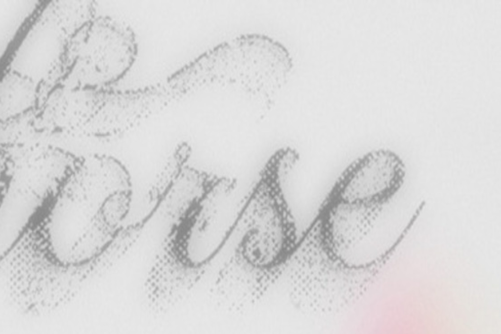 horse in Melbourne (Naarm)