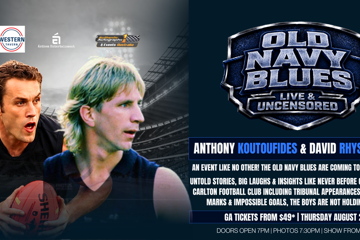 Old Navy Blues