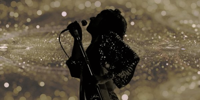 The UK Rod Stewart Show
