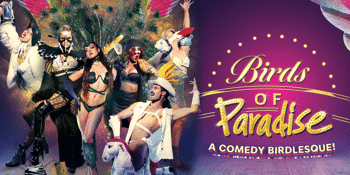 Birds of Paradise: A Comedy Birdlesque!