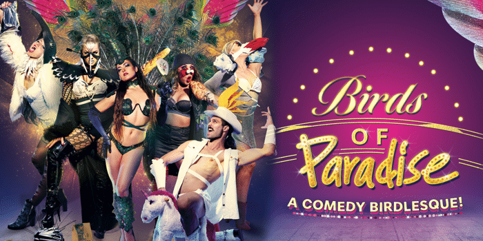 Birds of Paradise: A Comedy Birdlesque!