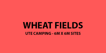 Wheat Fields