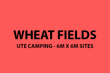 Wheat Fields