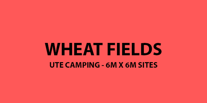 Wheat Fields