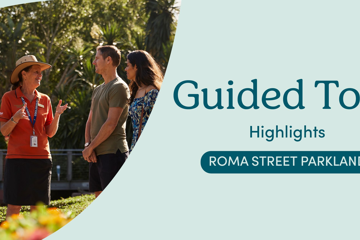 Roma Street Parkland Guided Tours - 10AM Tuesday 4th August