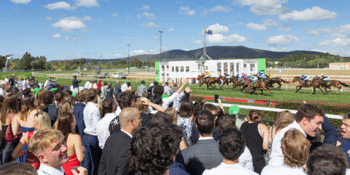 Hops & Hooves Festival Race Day