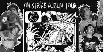The Bush Doofs - On Strike album tour - Canberra