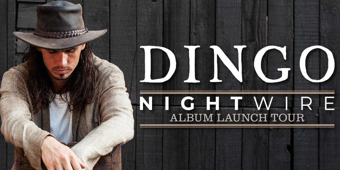 DINGO