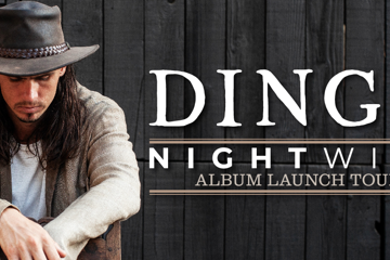 DINGO