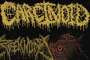 Carcinoid + Reekmind (NSW - Glints from the Crematorium EP Launch) + Aglo