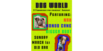DOG WORLD FUNDRAISER