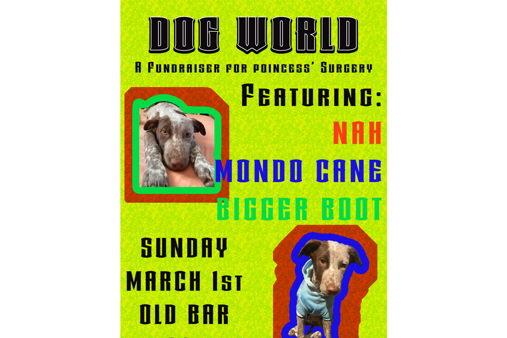 DOG WORLD FUNDRAISER