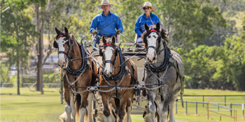 Scenic Rim Clydesdale Spectacular 2026