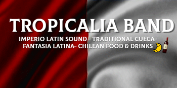 Chilean Independence Party 2020