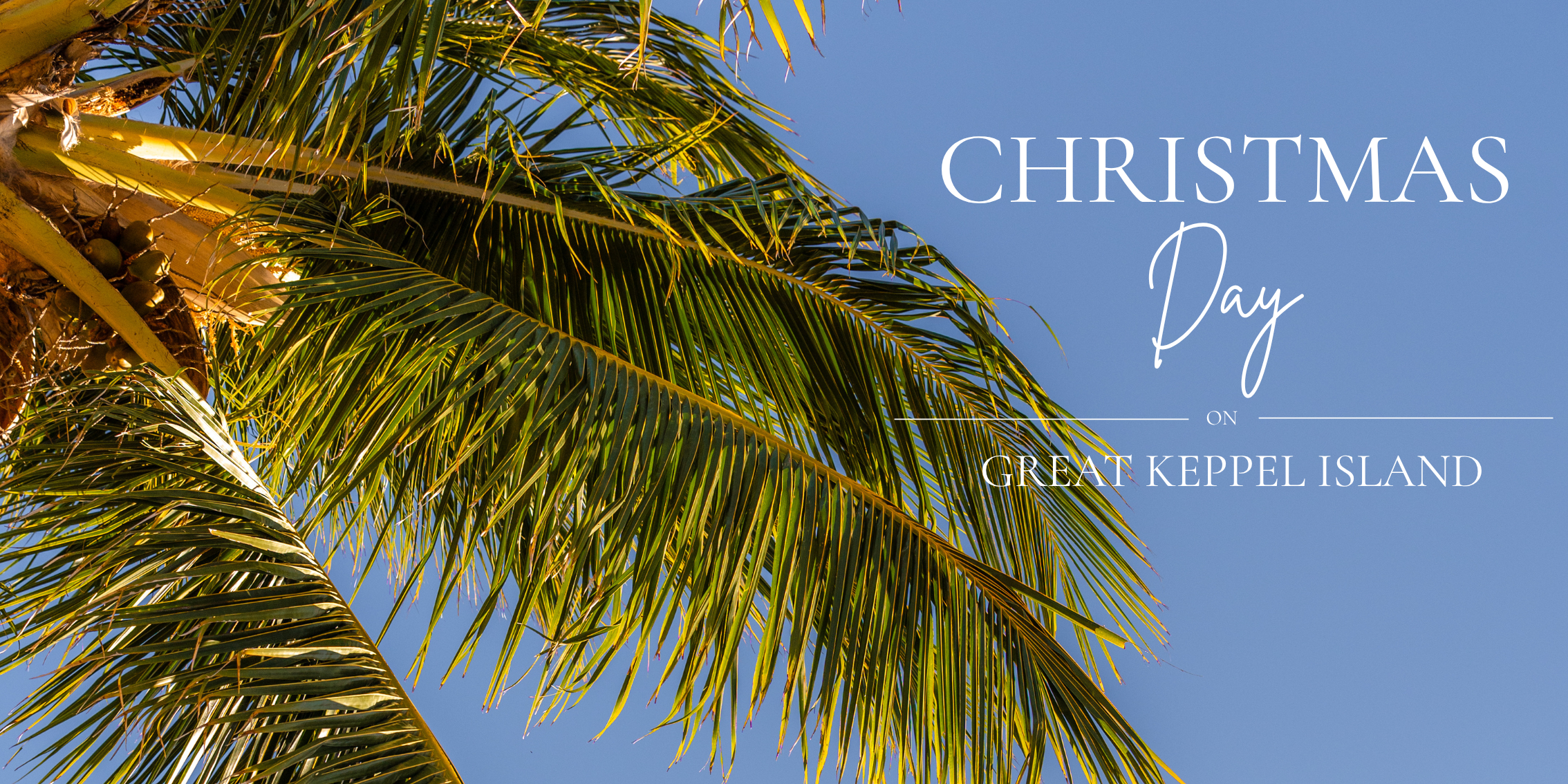 Christmas on Great Keppel Island