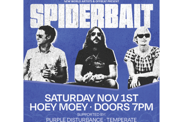 Spiderbait