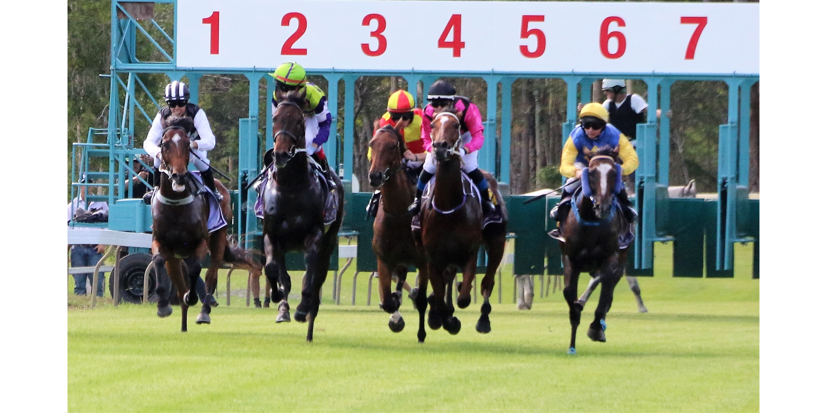 Esk races