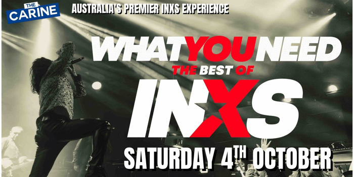 WHAT YOU NEED - THE BEST OF INXS