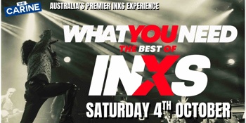 WHAT YOU NEED - THE BEST OF INXS