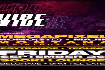 Vibe: Where Psytrance Meets Techno