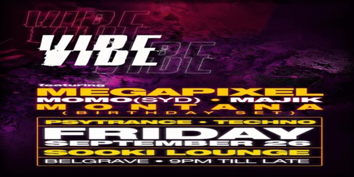 Vibe: Where Psytrance Meets Techno