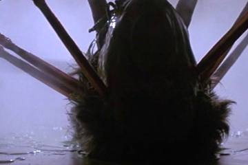 Halloweenage Bees by Teenage Bees, Jeremy Neale, the Ra Ta Ta's & Wolfe Peterson
