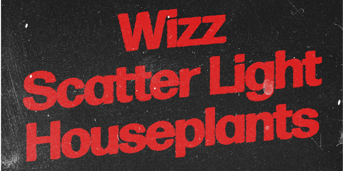 WIZZ | SCATTER LIGHT | HOUSEPLANTS