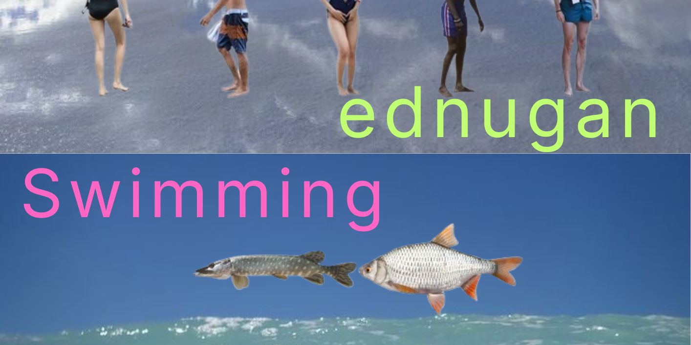 Ednugan + Swimming