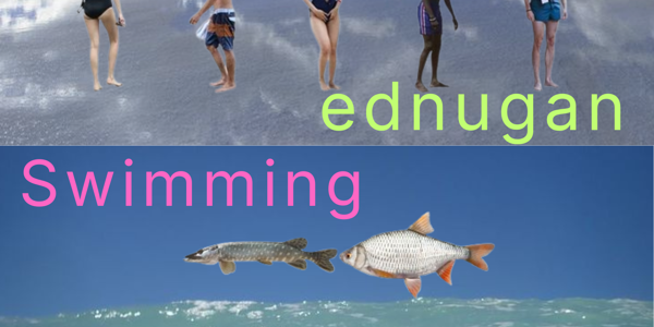 Ednugan + Swimming live at The Hamilton Station Hotel - Concert poster