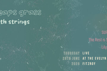 HEAPS GRASS with strings + The Rest is Silence + Lily Appelt