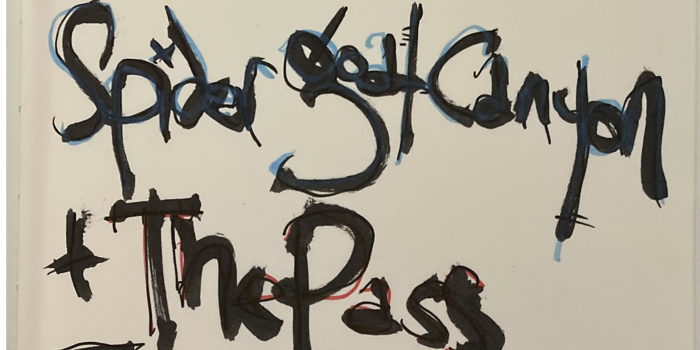 Spider Goat Canyon 'Walking With Geordie' Album Launch with The Pass