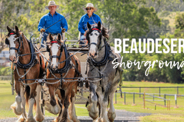 Scenic Rim Clydesdale Spectacular