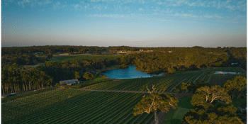 Food and Wine Pairing Event (Snake & Herring Wines/Clancy's Fish Bar)