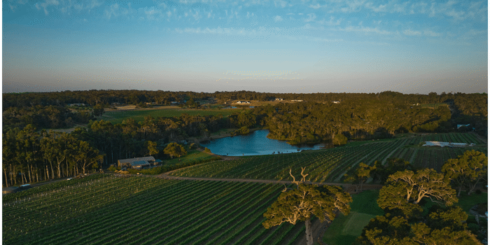 Food and Wine Pairing Event (Snake & Herring Wines/Clancy's Fish Bar)