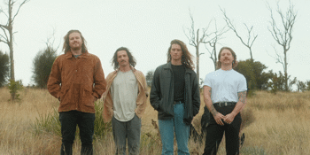 The Vanns