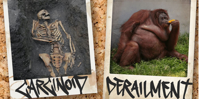 Carcinoid and Friends at Last Chance!