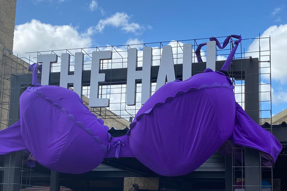 Electrical Industry's Purple Bra Day Fundraiser