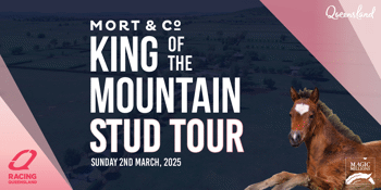 Mort & Co. King Of The Mountain 2025 Stud Tour