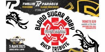 BLOOD SUGAR BABY | Red Hot Chilli Peppers Tribute