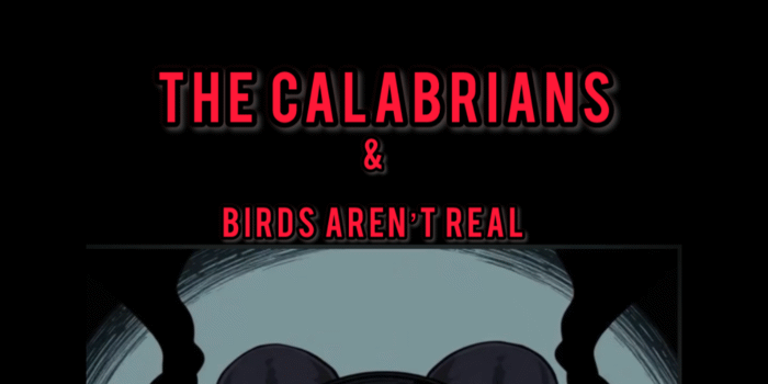 The Calabrians & Birds Arent Real in The Tote Front Bar
