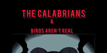 The Calabrians & Birds Aren’t Real in The Tote Front Bar