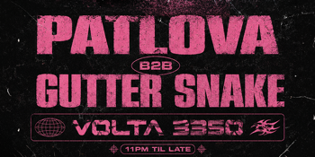 9-INCH DECKS - PATLOVA B2B GUTTER SNAKE