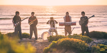 Banksia (single launch)