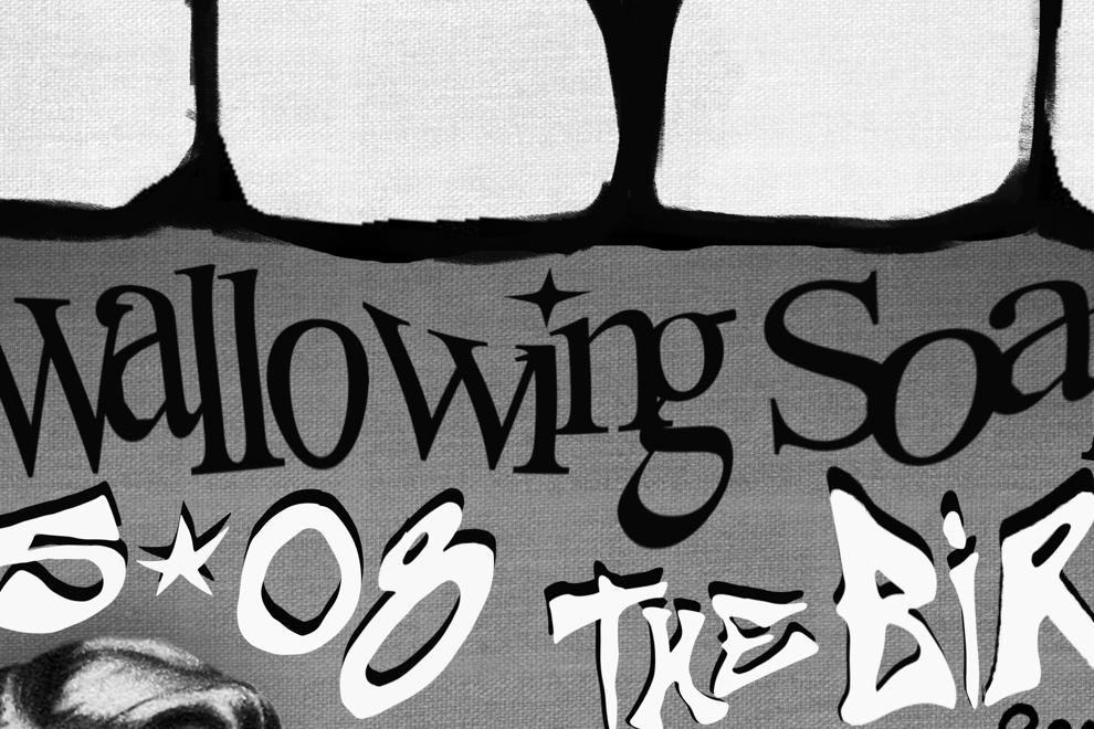 Swallowing Soap at The Bird